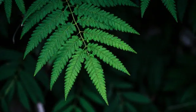 平面设计如何提升流量转化率